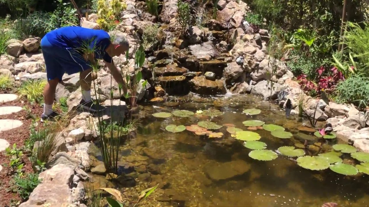 Mont Calabasas Video 11 YouTube