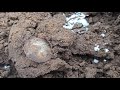 ОНА ПРОСТО ВЫСКОЧИЛА САМИ ОФИГЕЛИ! КОП ПО ВОЙНЕ!  WW2 METAL DETECTING