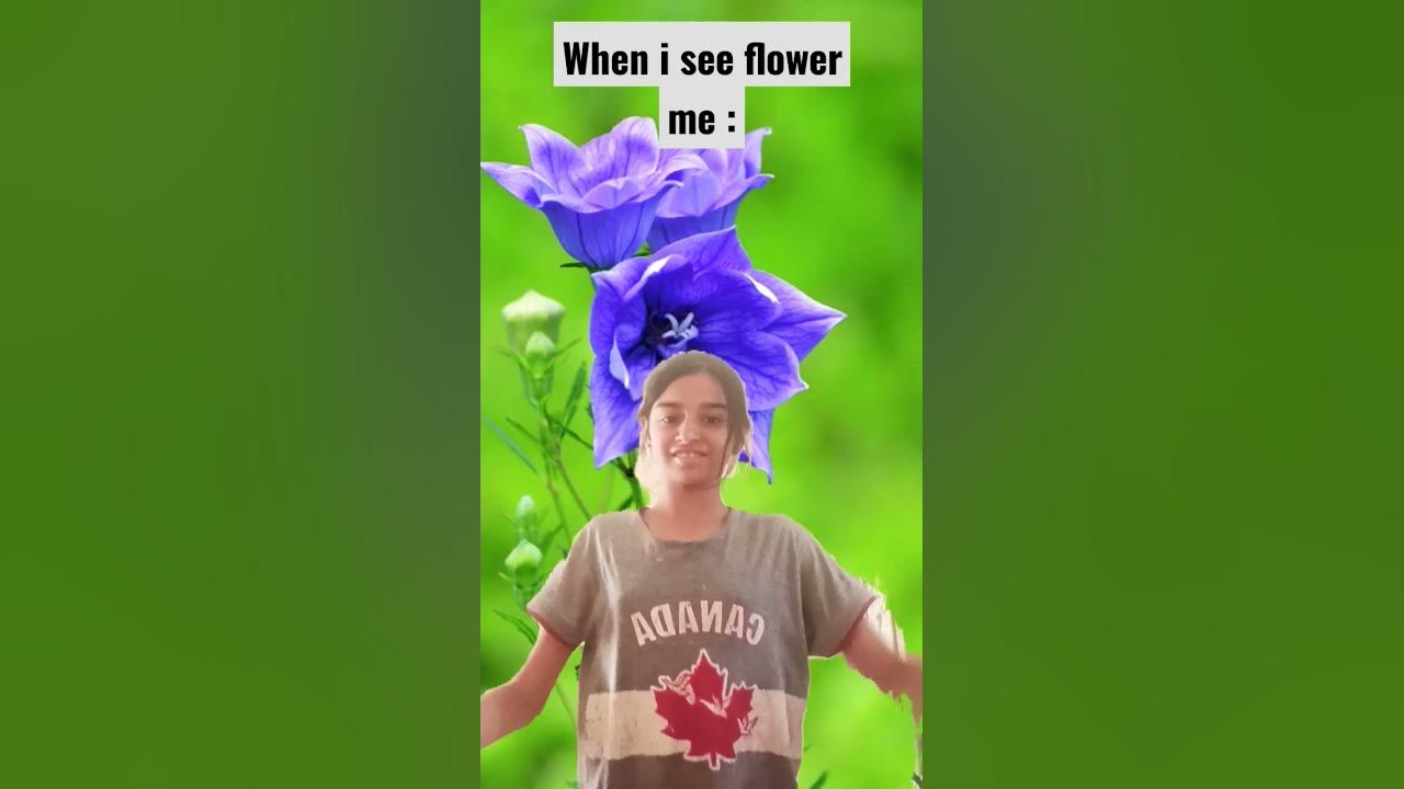 when I see flower 😂😂 YouTube