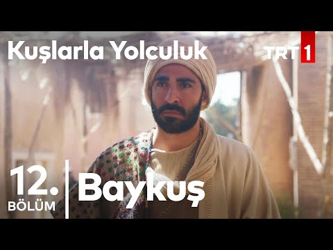 Baykuş | Kuşlarla Yolculuk 12. Bölüm