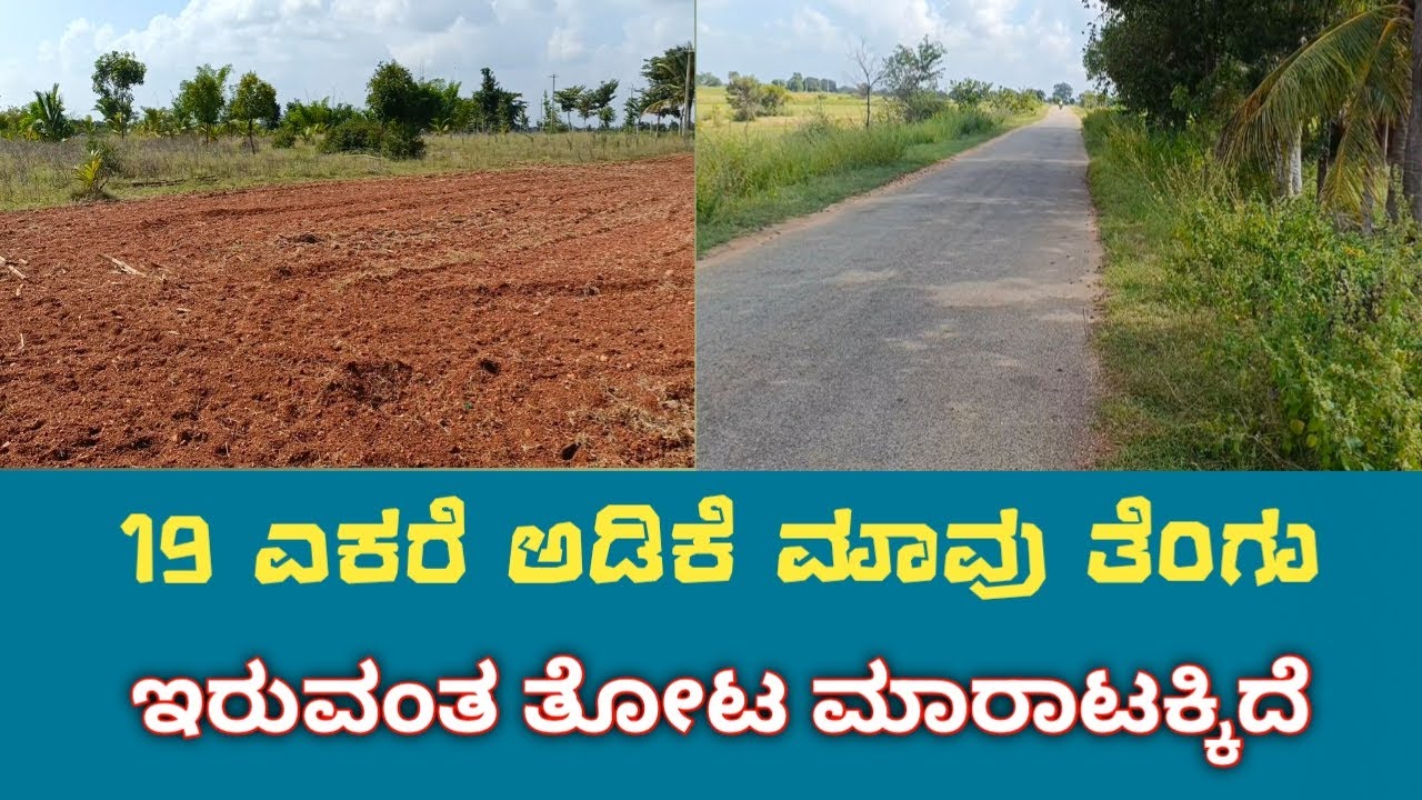 General Property Agriculture Land for Sale Near Sira | ಶಿರಾ ಹತ್ತಿರ ಅಗ್ರಿಕಲ್ಟರ್ ಲ್ಯಾಂಡ್ ಮಾರಾಟಕ್ಕಿದೆ |