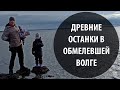 Рекордное обмеление Волги открыло палеонтологический рай!