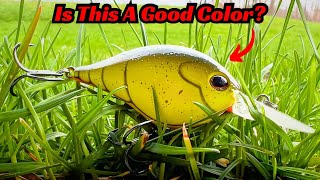 Is This The Single Most Important Color In Bass Fishing?
