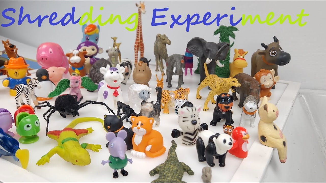 Shredding experiment recycling collection of Animals - 