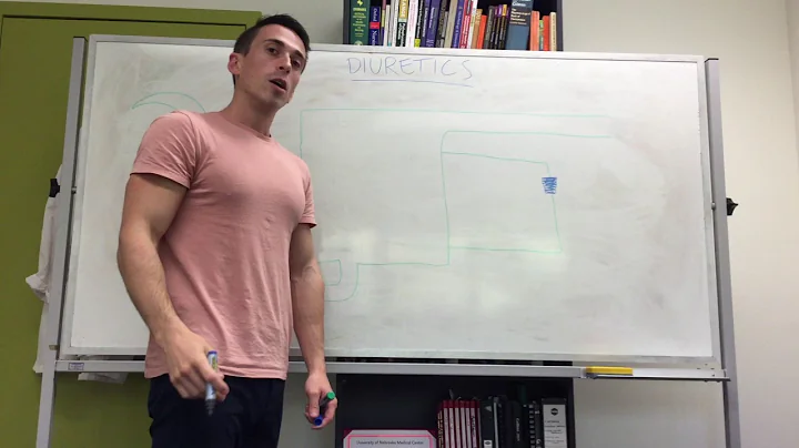 Diuretics - loop diuretics (furosemide)