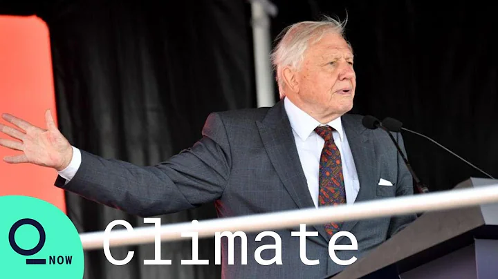 Sir David Attenborough UN Speech: 'It's Too Late to Avoid Climate Change'