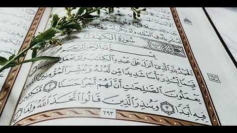 سورة الكهف بصوت الشيخ مصطفى غربي