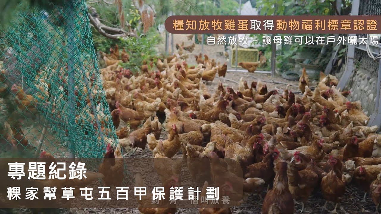 專題紀錄｜粿家幫 × 草屯五百甲保護計劃｜社區行動紀實