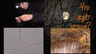 Оставил донки на ночь на реке! ЧТО ЖДЁТ УТРОМ? Рыбака в октябре на закидушки - Болен Рыбалкой №571 Оставил донки на ночь на реке! ЧТО ЖДЁТ УТРОМ? Рыбака в октябре на закидушки - Болен Рыбалкой №571