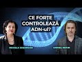 Ce fore controleaz adnul cu lect univ dr mihaela gheorghiu