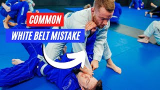 Learn From White Belt Mistakes Bjj Rolling Commentary