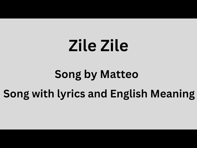 Zile Zile TikTok remix, song with lyrics and English meaning class=