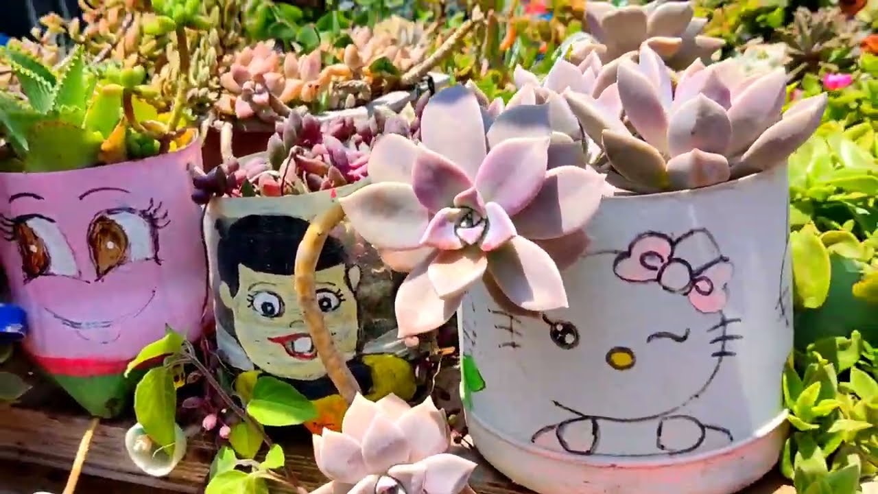 En los exteriores a total intemperie 