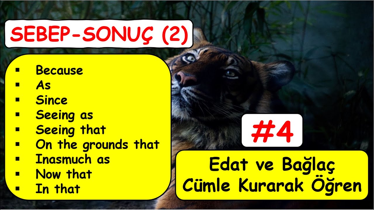 #4  (because, as, since, seeing as, seeing that, now that ...) BAĞLAÇ ve EDAT'LARLA CÜMLE KURUYORUM