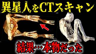 【総集編】異星人ミイラをCTスキャン・DNA解析した結果…本物だった…実在する58種のエイリアンと宇宙の歴史の真実とは【都市伝説】