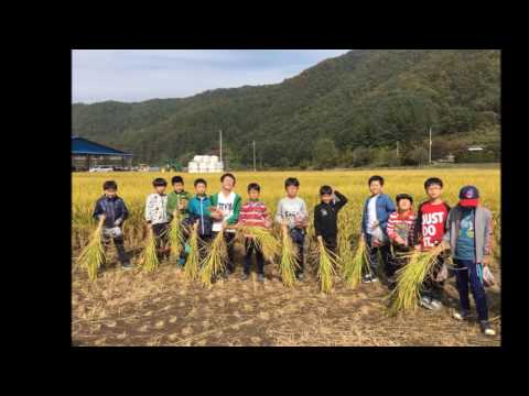 안평초 3-6 오락실