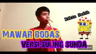 Download Lagu Mawar Bodas - Cover Suling Sunda | Sedih Pisann!!! MP3 Download Lagu Mawar Bodas - Cover Suling Sunda | Sedih Pisann!!! MP3