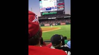 Dustin Pedroia Hop