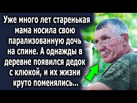 Видео: Парализованная собака была оставлена, но затем произошло чудо (легит)