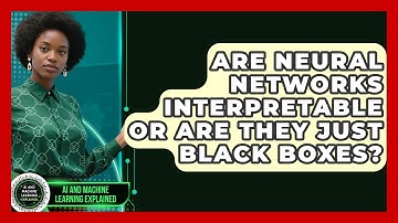 Are Neural Networks Interpretable or Are They Just Black Boxes?