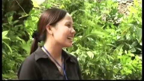 DANH THẮNG CHÙA THẦY ( SÀI SƠN -  QUỐC OAI - HÀ NỘI )