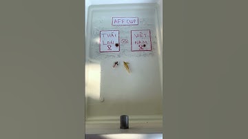 Cá 7 màu tiên tri kết quả AFF CUP. THAI LAN & VIET NAM #thetrieuguppyfarm #vothetrieu