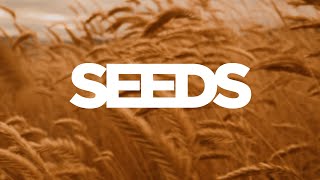 Seeds - Part 3 : Don't Miss the Party