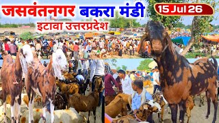 इटावा जसवंतनगर बकरा मंडी |15 Jul 26 |Jaswantnagar Bakra mandi Etawah UP live Update 