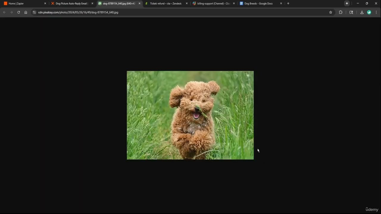 Zapier AI agents tutorial showing automated ticket classification