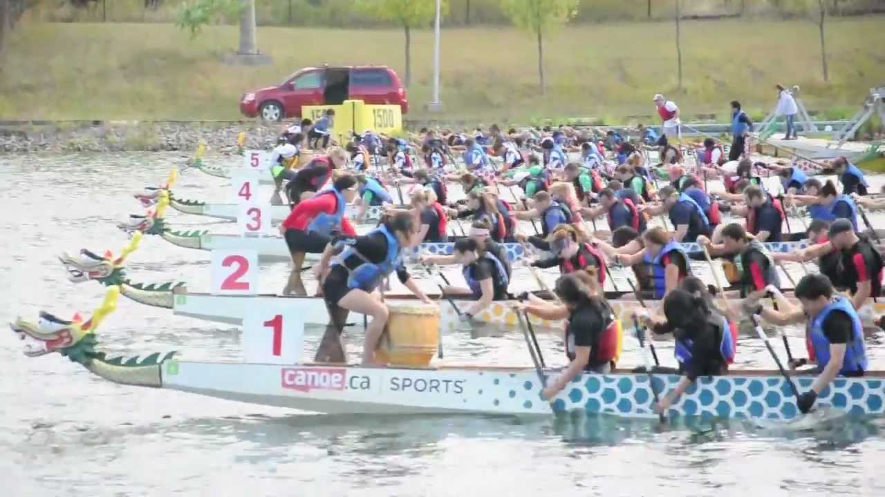 Bateau-Dragon - Barreur