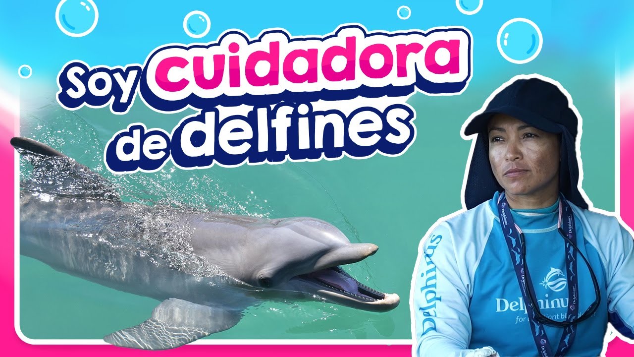 Amor, pasión y compromiso: Día Internacional del Cuidador en el ...