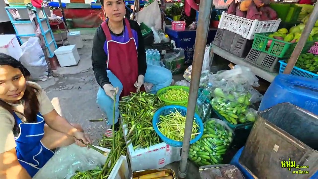 โอ้โห้..!!! ตลาดนี้ของป่า อาหารป่า มีเยอะเลย นานาชนิด