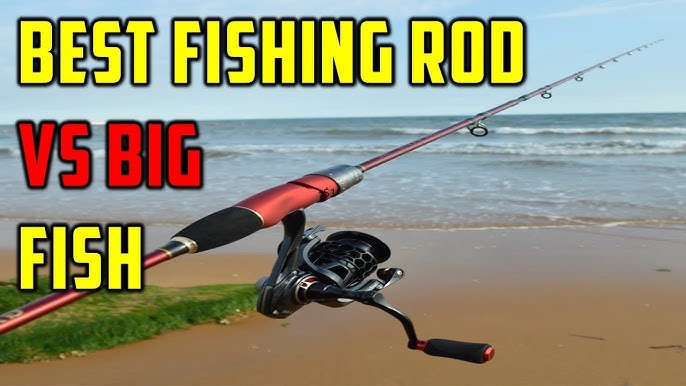 SPRING BUYER'S GUIDE: Budget Fishing Rods And Reels That Work! 