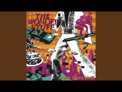 Caught In My Shadow - The Wonder Stuff