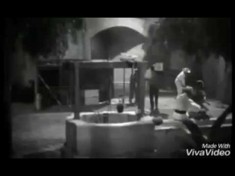Watch the video for La Gallina Ponedora