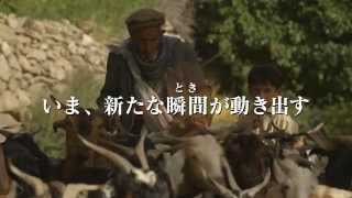 映画 草原の椅子 ネタバレあらすじ結末と感想 映画ウォッチ 映画 草原の椅子 ネタバレあらすじ結末と感想 映画ウォッチ