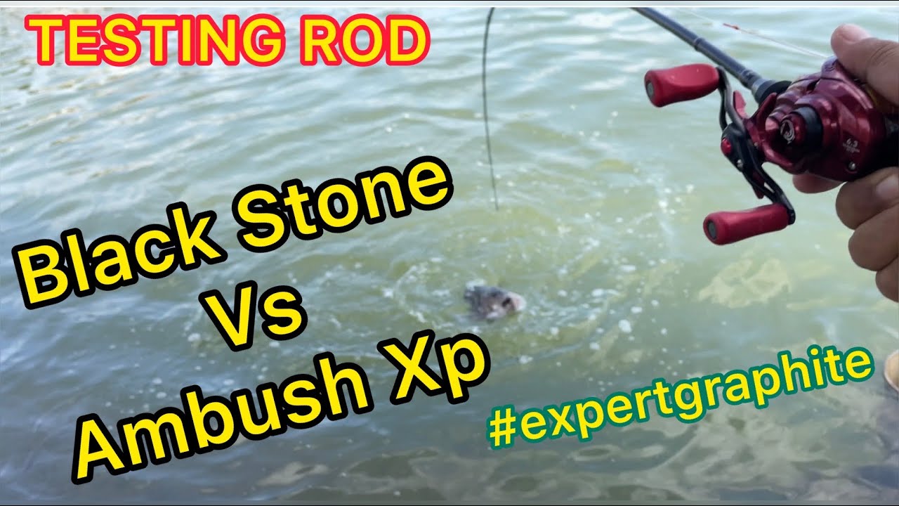 Sesi Testing new rod BLACK STONE & AMBUSH XP from EXPERT GRAPHITE d KOLAM DELEK 1 KLANG #menakutkan