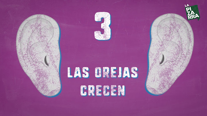Las investigaciones más absurdas - Bajo la Tiza