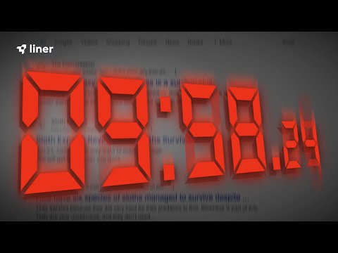 Liner video