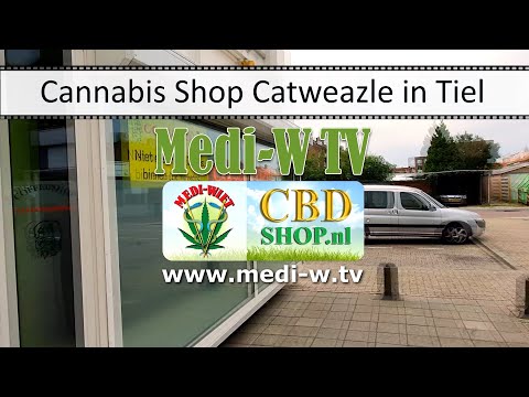 Coffeeshop Catweazle in Tiel