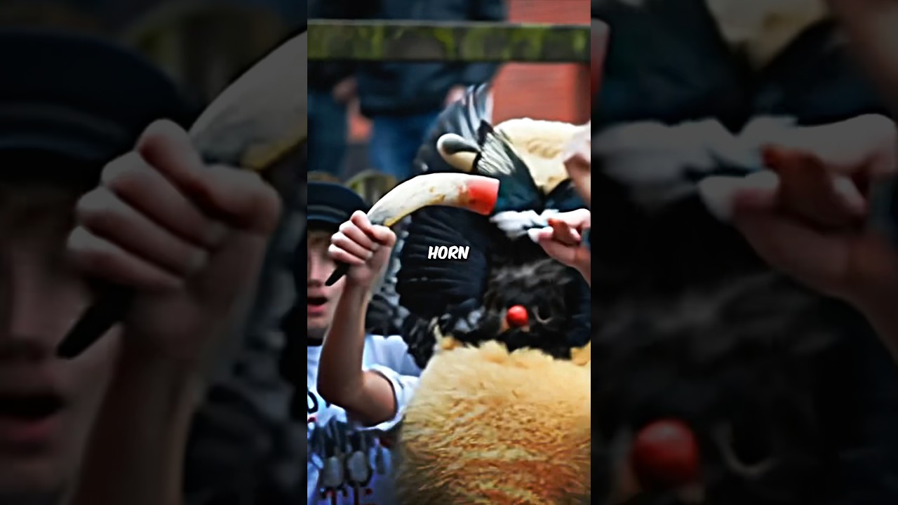 The Strangest Festival on Earth | 