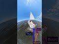 What is apparent wind?    #sailing #learn to sail #sailing #boating  #sailboat