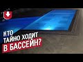 Кто тайком плавает в бассейне ночью?