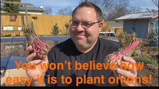Planting onions in the garden! 🧅 by Horticulture Geek 208 views 2 months ago 15 minutes