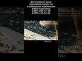 Золотые надписи на памятнике: краска, сусальное золото или нержавейка?