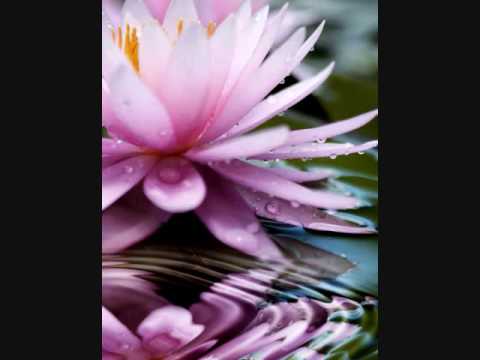 Bob de Angelis - La Vie en Rose