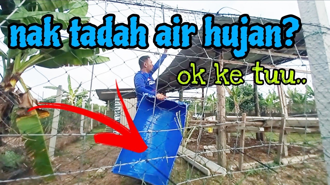 [Episod1098] bekas air baru sambil cuba tadah air hujan seperti yang dicadang penonton kebun abah