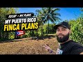 Recap of my plans in my Puerto Rico farm. 