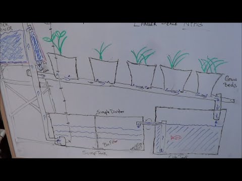 my drawing of a larger scale no power aquaponic garden