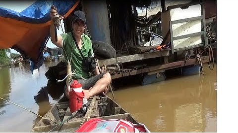 câu tôm càng xanh trên sông | thu hoạch bất ngờ ! thai minh go fish